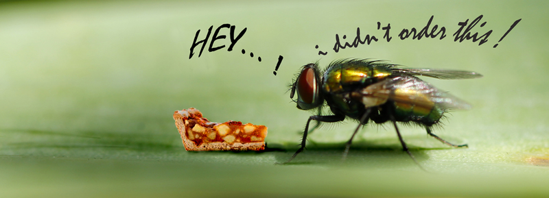 Illustration for article titled Shooting Challenge: Bugs 2